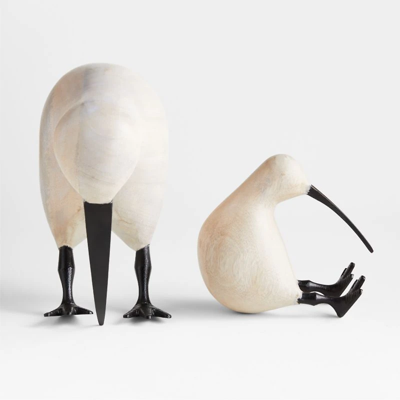 White Wood Kiwi Bird