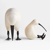 White Wood Kiwi Bird