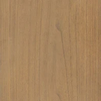 Lana Burnished Mindi Wood Storage Display Cabinet