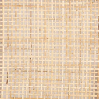 Libby Queen Cane Bed Frame