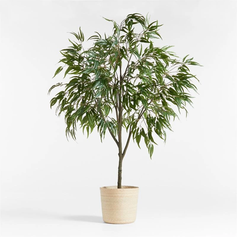 Potted Faux Long Leaf Eucalyptus Tree 9'