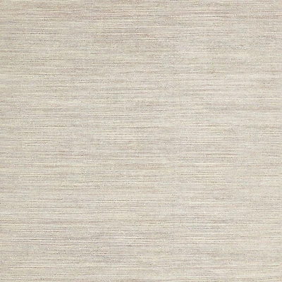 Macon Ivory Chenille Area Rug 6'x9'