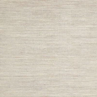 Macon Ivory Chenille Area Rug 6'x9'