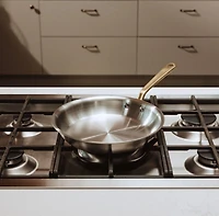 Made In Stainless Clad 2-Piece Fry Pan Set with Antique Brass Hardware