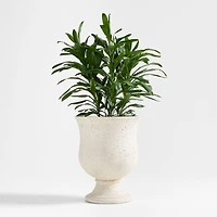 Malta Ivory Urn Indoor/Outdoor Planter 21.5"x27"