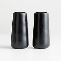 Marin Black Salt and Pepper Shaker Set