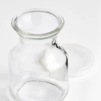 Mini Glass Jug