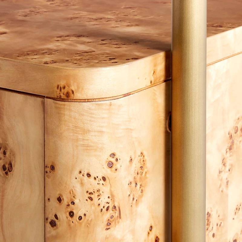 Mota Closed Burl Wood Storage Bookshelf Cabinet