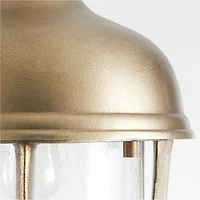 North Brass Cage Pendant Light by Leanne Ford