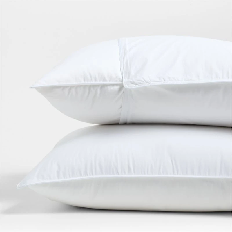 Organic Cotton Standard Pillow Protector, Set of 2