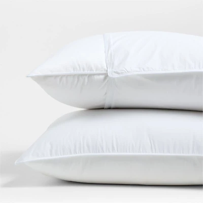 Organic Cotton Standard Pillow Protector, Set of 2