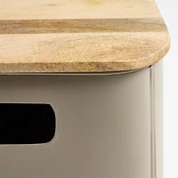 Outline Clay Brown Medium Metal Storage Bin with Wood Lid