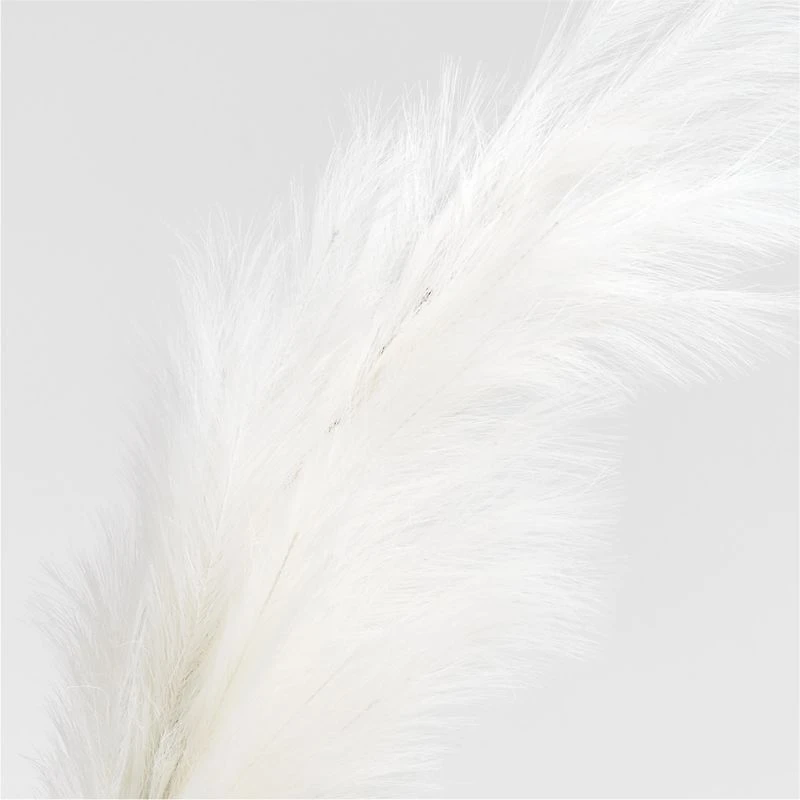 Faux Ivory Pampas Grass Stem 6'