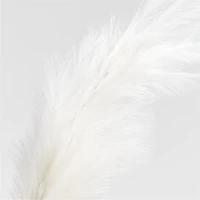 Faux Ivory Pampas Grass Stem 6'