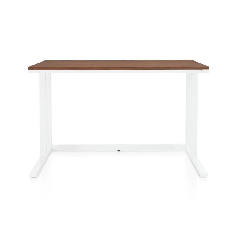 Pilsen Salt Desk with Walnut Top