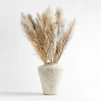 Grass Plume Dried Botanical Bunch