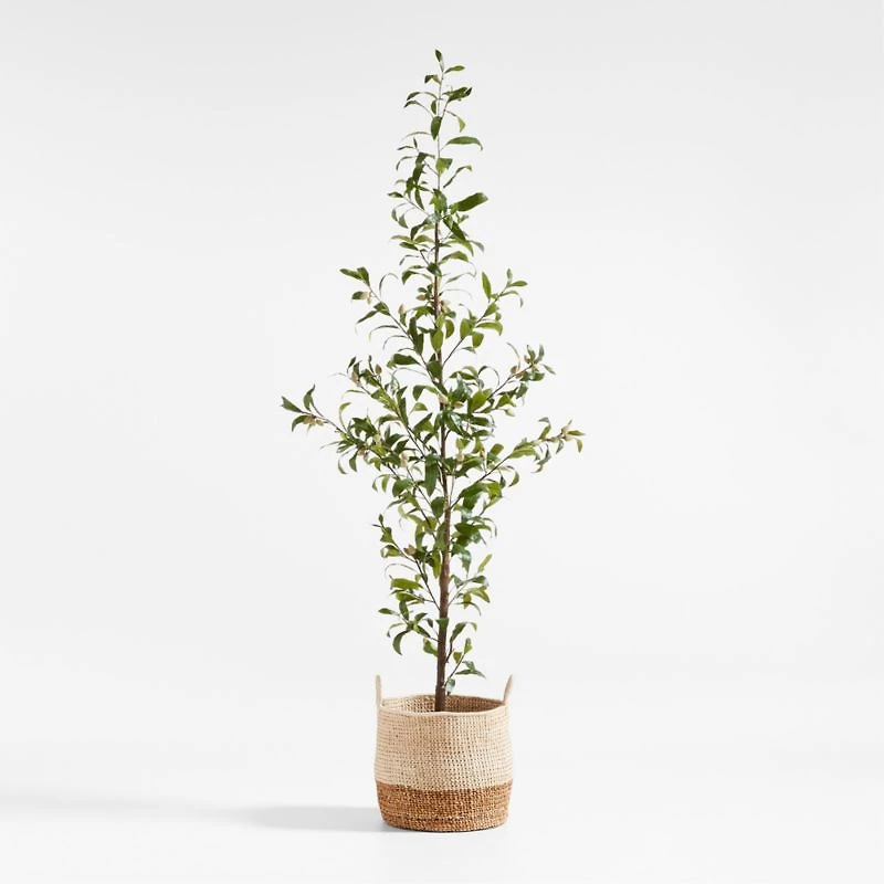 Potted Faux Almond Tree 8'