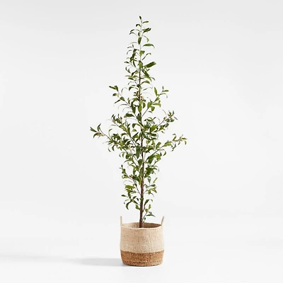 Potted Faux Almond Tree 8'