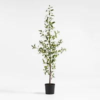 Potted Faux Almond Tree 8'