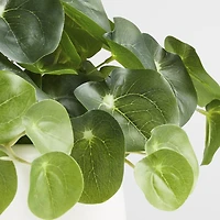 Potted Faux Pilea Plant in White Pot