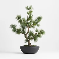 Potted Faux Pine Bonsai in Black Pot