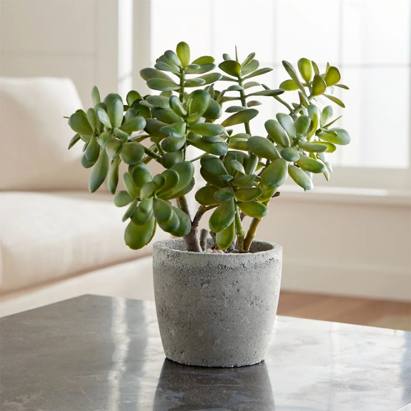 Potted Faux Jade Plant