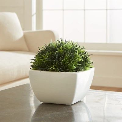 Potted Faux Moss