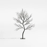 Faux Pre-Lit Black Branch Tree 3'