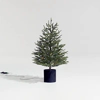 Potted Faux Norway Spruce Pre-Lit LED Tree with White Lights 3'