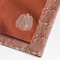 Pumpkin Organic Cotton Kitchen Towels, Set of 2