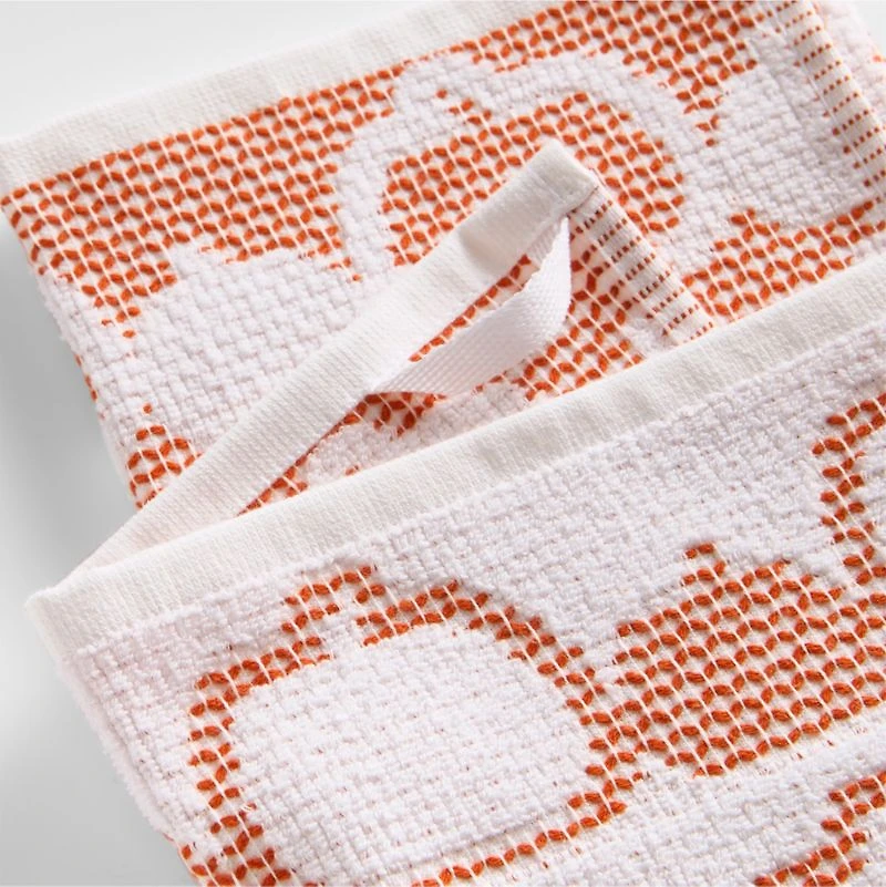 Pumpkin Textured Terry Organic Cotton Kitchen Towel, Set of 2