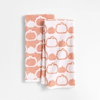 Pumpkin Textured Terry Organic Cotton Kitchen Towel, Set of 2