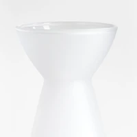 Ryo Frosted Glass Sake Set