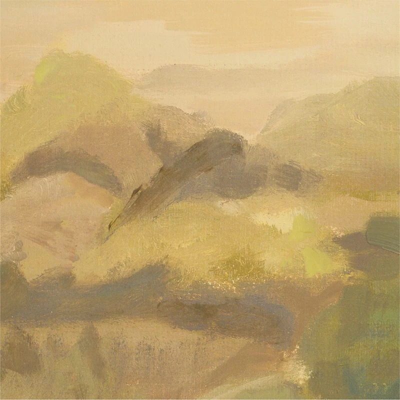 "Vineyard From Above" by Sadie Byron 51" x 64" Framed Wall Art Print