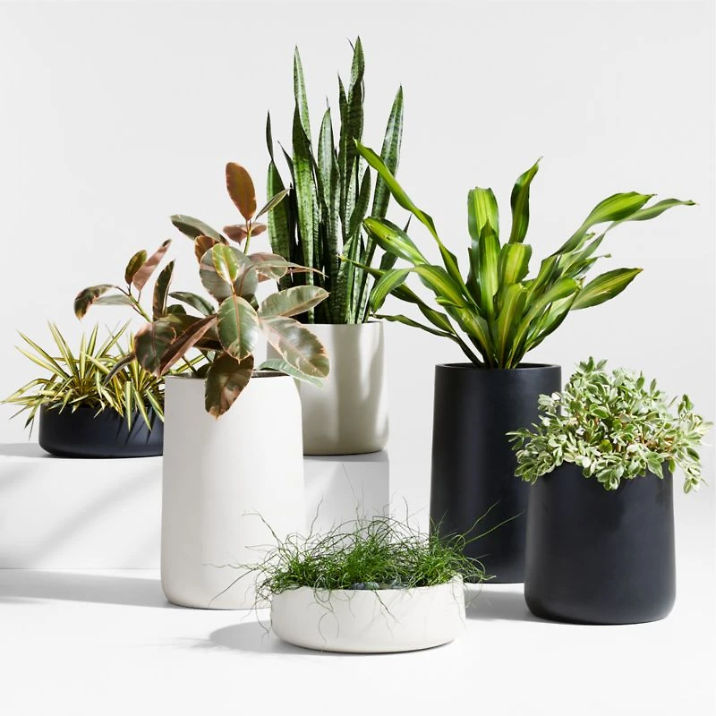 Saabira Taupe Indoor/Outdoor Tabletop Planter