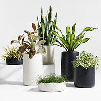 Saabira Taupe Indoor/Outdoor Tabletop Planter