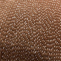 Sashiko Organic Cotton Velvet 20"x20" Chocolate Brown Throw Pillow with Feather Insert