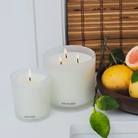 Apotheke Sea Salt Grapefruit Boxed Candle