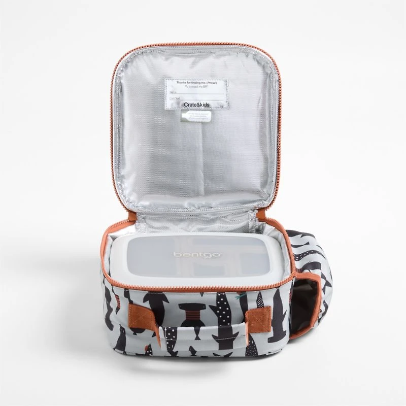 Shark School Soft Insulated Kids Lunch Box