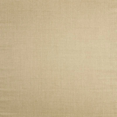Sisal Almond Brown Area Rug 12'x15'
