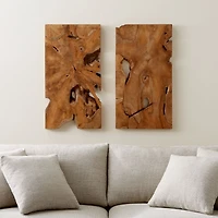 "Slice" Teak Wall Art 19"x35"