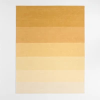 Soft Gradient Yellow Chenille Kids Area Rug 5'x8'