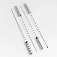 Stainless Steel Sliding Skewers with Hollow Handle, Set of 4