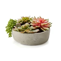 Faux Succulents in Low Round Pot