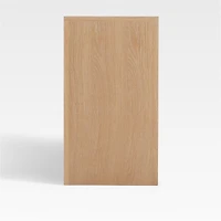 Terrazza 52" 2-Door Storage Media Console