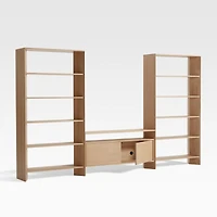 Terrazza 2-Door 52" Storage Media Console with 2 Bookcases