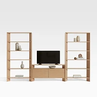 Terrazza 2-Door 52" Storage Media Console with 2 Bookcases