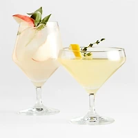 Schott Zwiesel Tour 15-Oz. Tall Cocktail Glass