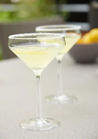 Schott Zwiesel Tour 11-Oz. Martini Glass