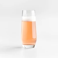 Schott Zwiesel Tour 9-Oz. Stemless Champagne Glass